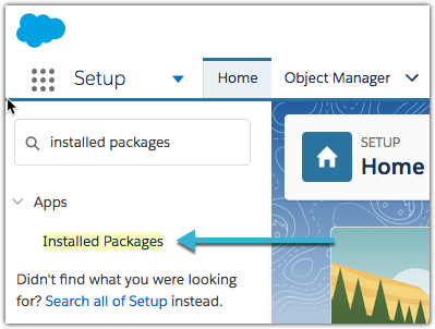 Installed_Packages_Lightning_1.png